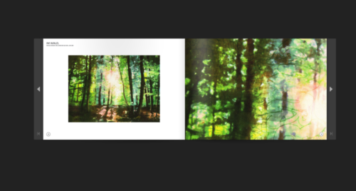 Bildschirmfoto 2013-02-11 um 21.06.47