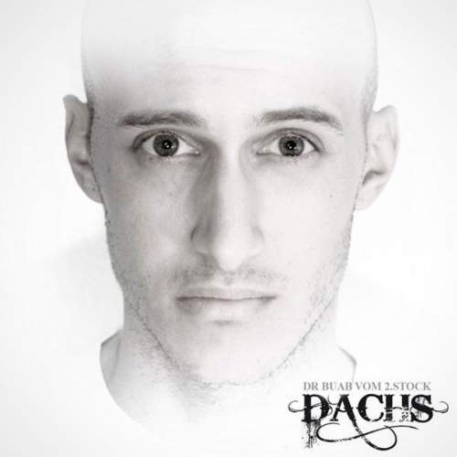 Dachs-Buab
