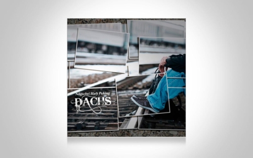 Dachs-Noegschti-Halt-Peking (1)