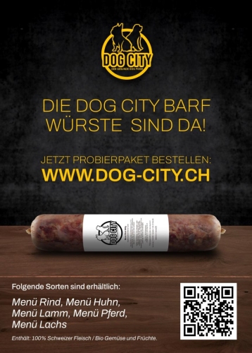 Dog City Flyer A6