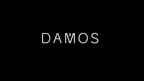 damos-2013-logo